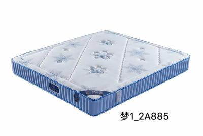 梦优1-2A885
